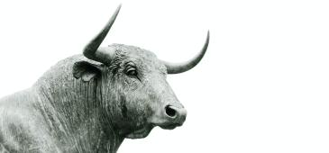 Symbolfoto Aktienmarkt: Bulle 