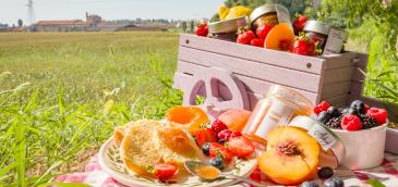 Obstkorb und Marmelade auf Picknickdecke